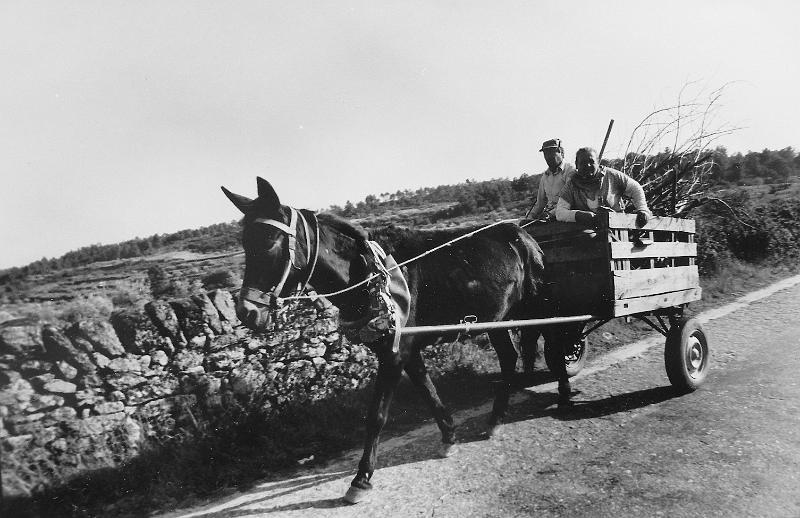 25.jpg - Manuel Rolo e esposa Lucilia vindos do campo 1999