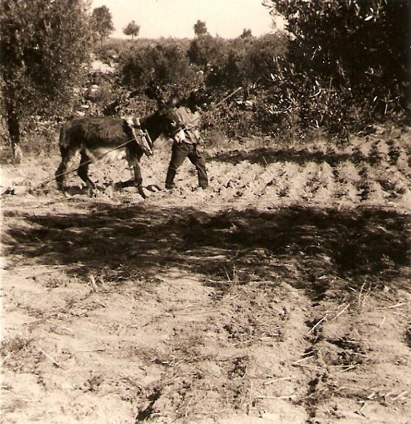 28.jpg - Década de 1960-Lugar o Salvante-Lavrador da época Luis Reis