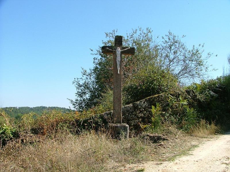 61.JPG