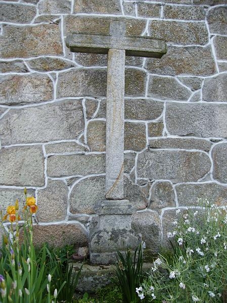 65.JPG
