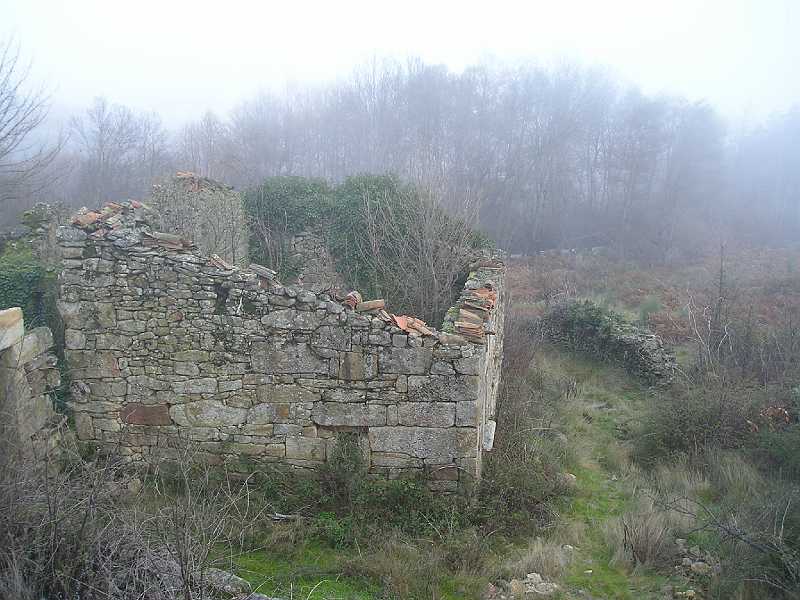 P1050086.JPG